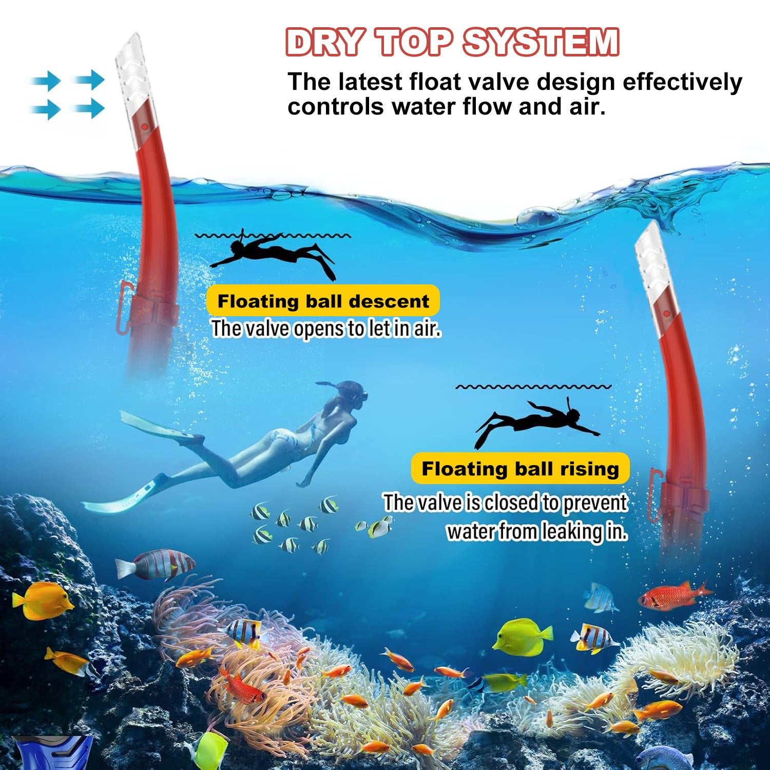 Dry Snorkel Set,Panoramic Wide View Anti-Fog Scuba Diving Mask,Professional Snorkeling Gear for Adults Kids